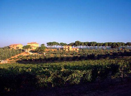 Villa Il Tesoro Massa Marittima Ngoại thất bức ảnh